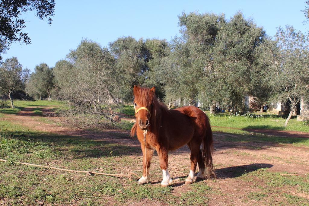Agriturismo Tenuta Sant'Antonio Cerfignano エクステリア 写真